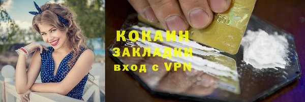 индика Кукмор