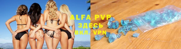 индика Кукмор