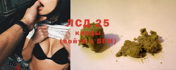 дживик Кулебаки