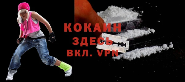 индика Кукмор