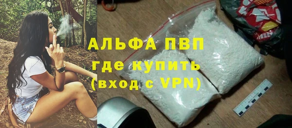 индика Кукмор