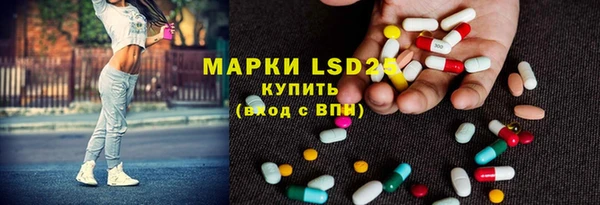 индика Кукмор