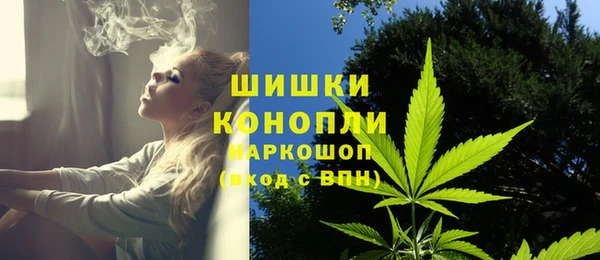 дживик Кулебаки